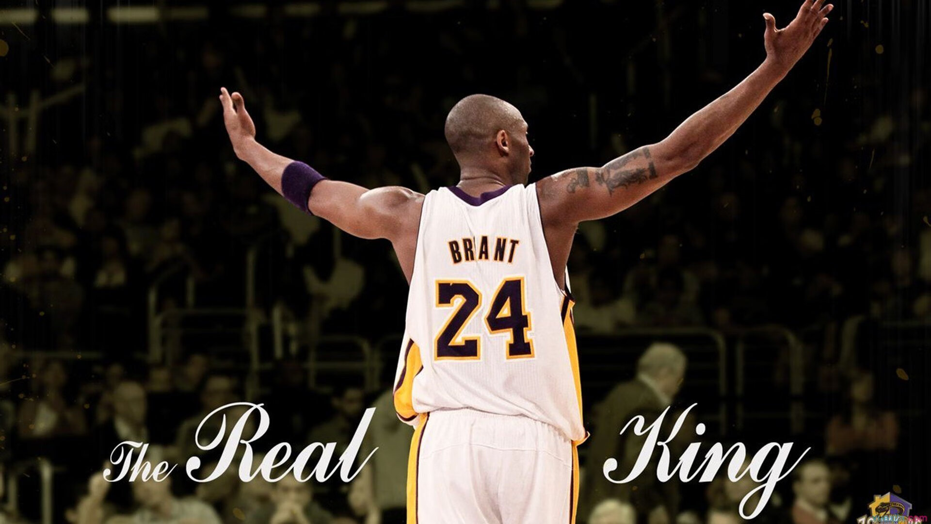 开云体育登录网站入口-《全球电竞市场突破50亿美元，亚太地区领跑行业增长》，全球电竞产业规模