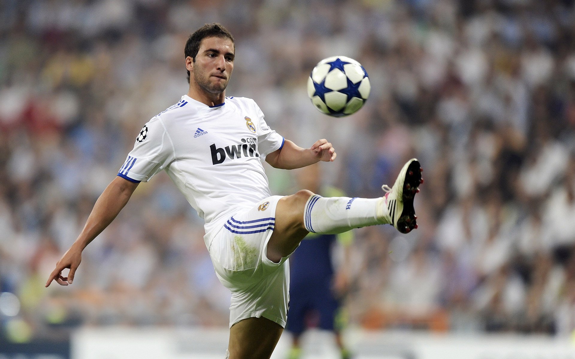 电竞周边产品热销，球迷收藏潮流再掀风潮，电竞周边馆是真的吗